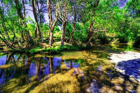 泰国PhuKradueng公园深森林中美丽的热带雨林和溪流自由然丛林图片