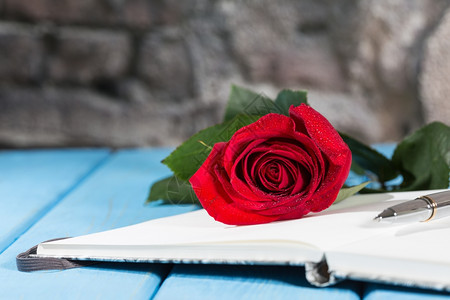 花瓣蓝色的古董桌顶上挂着玫瑰的书记忆叶子图片