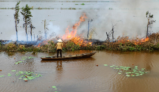 干净的亚洲妇女乘轮船烧干树叶在洪涝季节打扫田地越南湄公河三角洲风景作物种植后在堤道上燃烧火焰烟雾飞向环境树木叶子图片