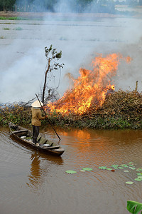 亚洲妇女乘轮船烧干树叶在洪涝季节打扫田地越南湄公河三角洲风景作物种植后在堤道上燃烧火焰烟雾飞向环境亚洲人抽烟越南的图片