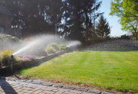 一个可爱的房子前院自动地下洒水器夏天自然塑料花园图片