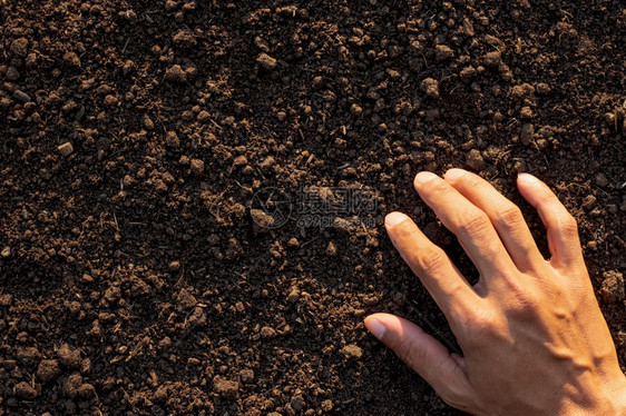 黑色的氯硼男人手中拉绳用于种植土壤质地背景图片