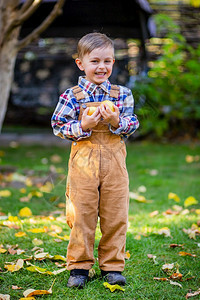 在户外草地上拿着苹果的小男孩图片