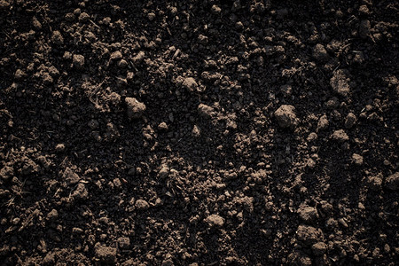 适合耕种的肥土壤质地本底场氯垃圾摇滚图片