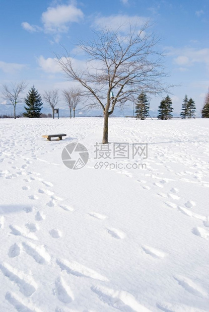 冻结自然荒野雪地秃头树和空椅子上的脚印北海道日本Honshu以北日本东亚图片