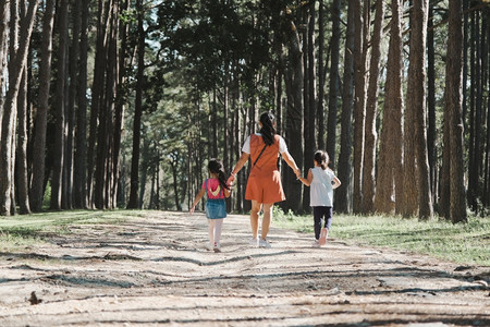 抓住母亲和两个女儿在春日手牵松林中散步漫天女儿们图片