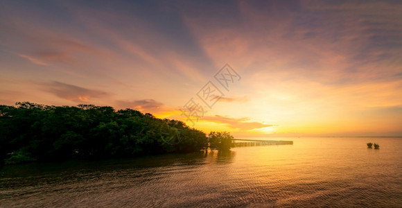 黄昏环境美丽的夕阳天空在红树林附近的热带海面上金色的夕阳天空海上际线大自然中的美丽热带海滩景观小浪的海水表面平静的海戏剧图片