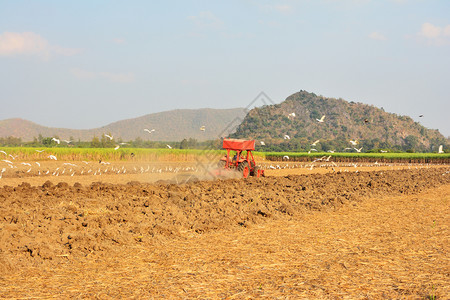 人们农民场园艺人正在驾驶拖拉机耕种土壤来寻找食物的佩利卡人与山峰和天空相伴图片