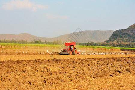 污垢农艺学园人正在驾驶拖拉机耕种土壤来寻找食物的佩利卡人与山峰和天空相伴场地图片