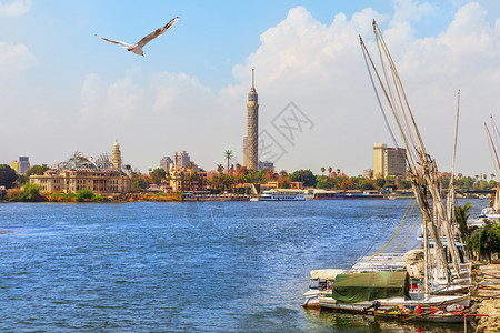 户外中央埃及尼罗河码头和开塔附近的游艇观光图片