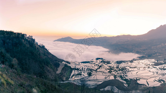 阳小村和田地稻雾大云薄有机的植物图片