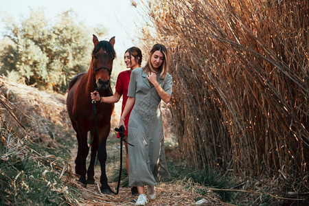爱好两个女朋友聊天骑着马乘兜风穿过农村的乡间一种图片