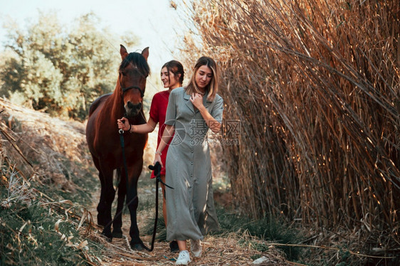 爱好两个女朋友聊天骑着马乘兜风穿过农村的乡间一种图片