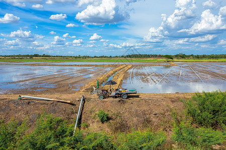 谷泰国Lopburi的典型稻田和当地土路泰国农场地风景优美的北部植物蒋图片