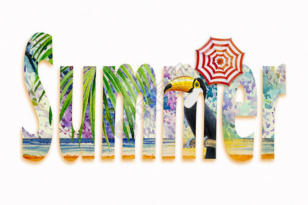 艺术的家禽绘画水彩手鸟和雨伞棕叶花纹加上海景波沙滩和白色背景的蓝黄彩画插图用Toucan鸟绘制的热带夏季文字横幅图片