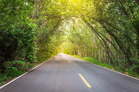 泰NakhonRatchasima的森林道路是一座山地隧道绿色天空图片
