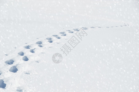 冬季雪景风光图片