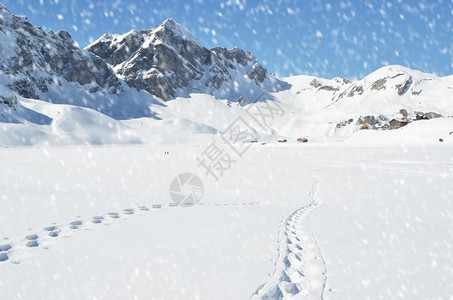 雪地上的脚印图片