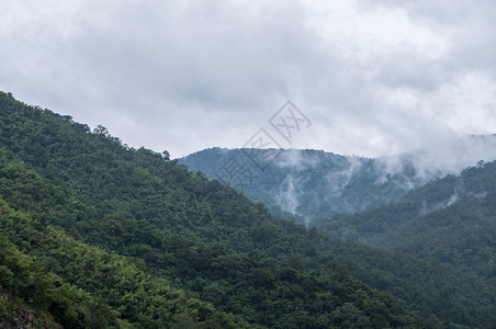 泰国北部家公园位于泰北部风雨过后烟雾笼罩高山树木蒙的图片