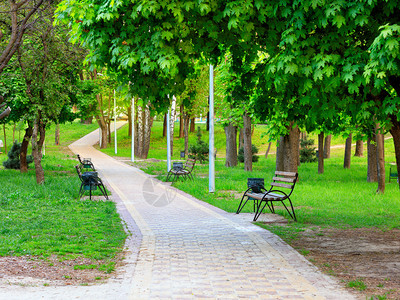 木制的一条用多色石头铺设的道路加上木板凳子沿着一个美丽的绿草坪和一座清新城市夏季公园一带远处的长青绿色椅另一个新的城市夏季公园W图片