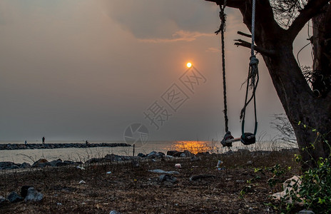 绳索早晨摇摆旧木材在树下摇动海边滩和天空背景附近坐和放松假日节寒冷放松概念图片