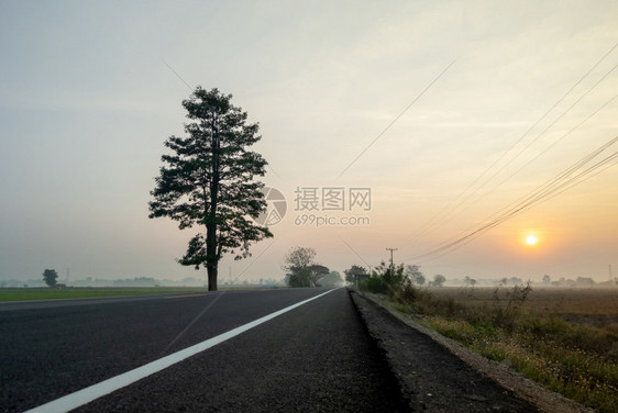 日落时的森林公路图片