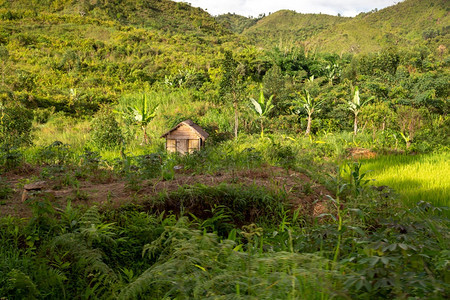 马达加斯风景图片山脉和草地马达加斯风景图片山脉和草地爬坡道旅行谷图片