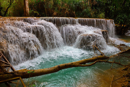 老挝LuangPraprabang的美丽风景树蓝色的级联图片