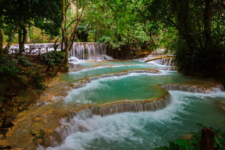 叶子树老挝LuangPraprabang的美丽风景新鲜图片