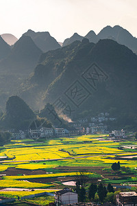 环境村庄种植园万芬格林家地质公园森林十万山峰被的种子花卉田和村落图片