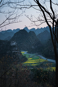 万芬格林家地质公园森林10个山峰的日落与良种花田绿色植园风景优美图片