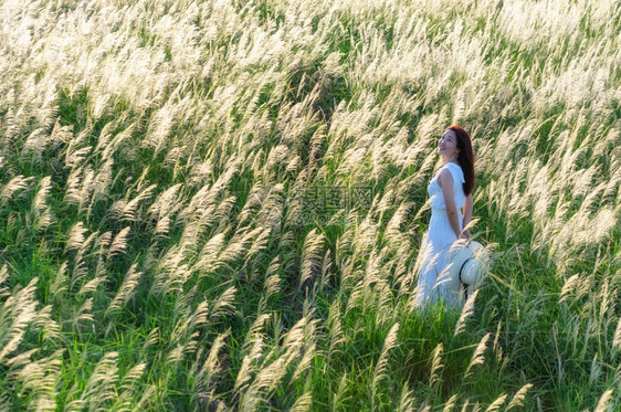 快乐的柔软希里美丽肖像与自然光亚洲女人在自然白色草甸花她的裙子和白色帽站在的草地上PrachuapKhiriKhan泰国美丽的女图片