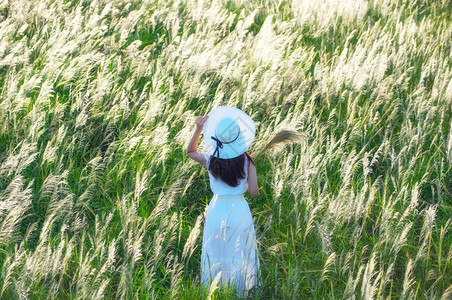 花朵白色草地上的花她裙子和白帽站在色草原上的地PrachuapKhiriKhan泰国美丽的天然白草地花绿化新鲜的图片