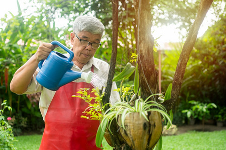 松弛一个快乐和微笑的亚洲老年人在家中为退休后的一种爱好给植物和
