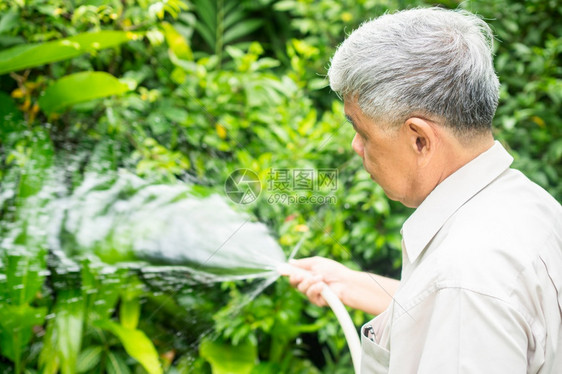 为了春天一个快乐和微笑的亚洲老年人在家中为退休后的一种爱好给植物和鲜花浇水老年人幸福生活方式和良好健康的概念对老年人的健康概念夏图片