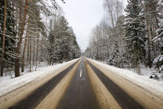 颜色下雪的白皑冬季覆盖道路的细节汽车痕迹和交通轨沿路公种植森林树木详细介绍森林中雪覆盖道路的情况在森林中埋有雪覆盖道路的详细节图片