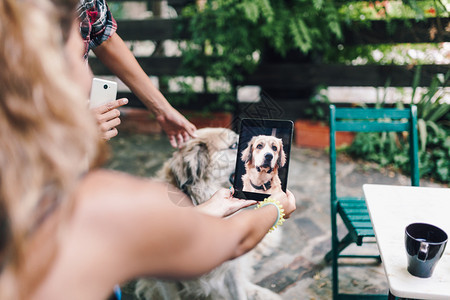 衬衫肖像坐在木屋外的阶梯上拍着狗的照片一对微笑年轻夫妇近视图片