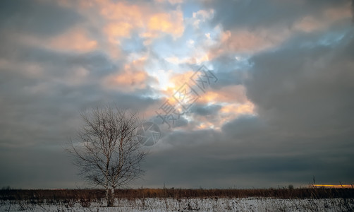 二月干燥孤单地在寒冬的田野中在白云破碎的空隙下与阳光相照希望图片