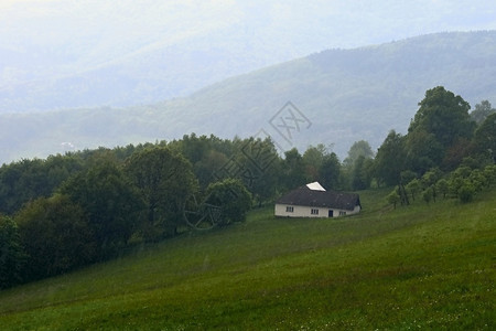 叶子爬坡道在夏季的雨天白色喀尔巴阡山脉在雨中小屋捷克风景自然图片