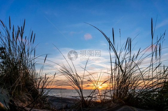 景观野生动物阳光在海浪中的反射红色和黄的天空在日落光芒中海上日落在浪中的阳光反射红色和黄的天空在日落光芒中和平图片