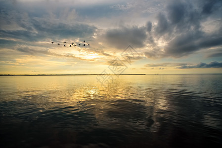 黄色的美丽自然景观天空中明亮的金色阳光以及清晨日出时在泰国Songkhla湖Phatthalung省泰国鸟类飞过Songkhla图片