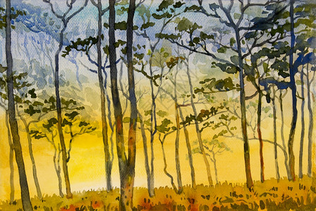 作品植物在森林背景美丽自然秋季的纸张上画图绘制原始野火生态山和草原农村的水彩风景观林地背美貌自然秋季蓝色的图片