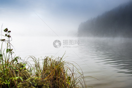 安静的湖面水雾在河上清晨烟雾冷静的阴霾图片