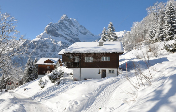 冬季雪地里的木屋图片