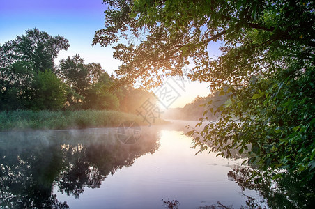 池塘清晨雾在平静的河流上西弗斯基顿尼茨河乌克兰清晨雾在平静的河流上绿色早晨图片