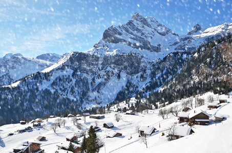 冬季雪地里的木屋图片