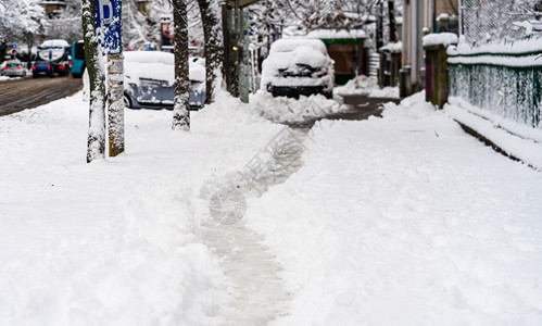 冬天场景森林人们在清晨的阳光下走着大雪冬概念中的路漫过早晨的积雪之路在清晨的明光下雪图片