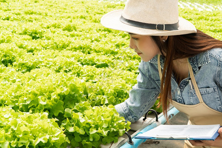 清单种植园在温室水轻光度控制环境概念中亚洲农民妇女拥有剪贴板和生蔬菜沙拉以便在水栽养农场系统中检查质量有机食品为了图片