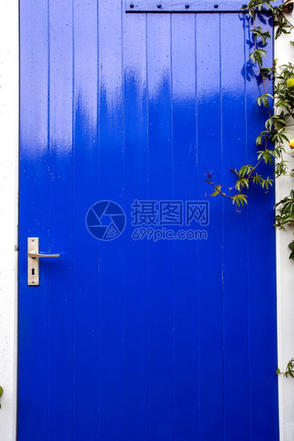 蓝色木制门绿植物吊挂外出门紧闭背景纹理绿色植物挂的蓝木制门外近闭明亮的蓝色优质图片