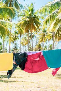 重点孩子们儿童衣服挂在海边椰子花园的衣着线上阳光明媚的夏天软体专注于衣服上院子图片